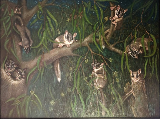 Amongst dense green eucalypt leaves and flowers, a family of possums with distinct white markings all cling to branches and look at the viewer.