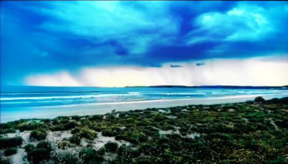 A beach scene with blue clouds over a calm sea and empty sand, with a bush-studded sand dune in the foreground.
